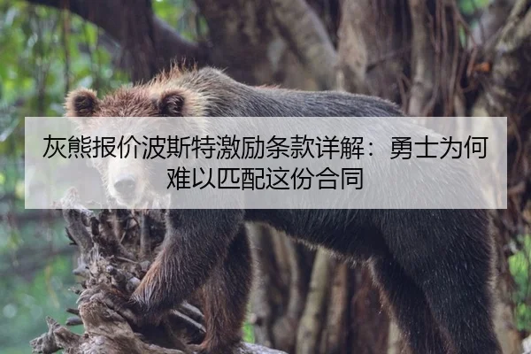 灰熊报价波斯特激励条款详解:勇士为何难以匹配这份合同